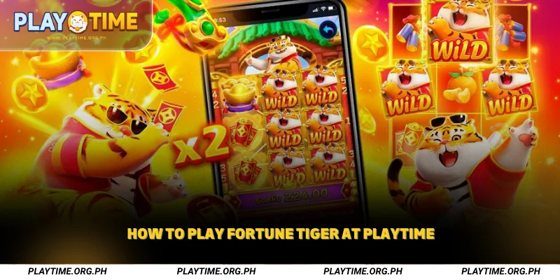 How to Play Fortune Tiger at Playtime