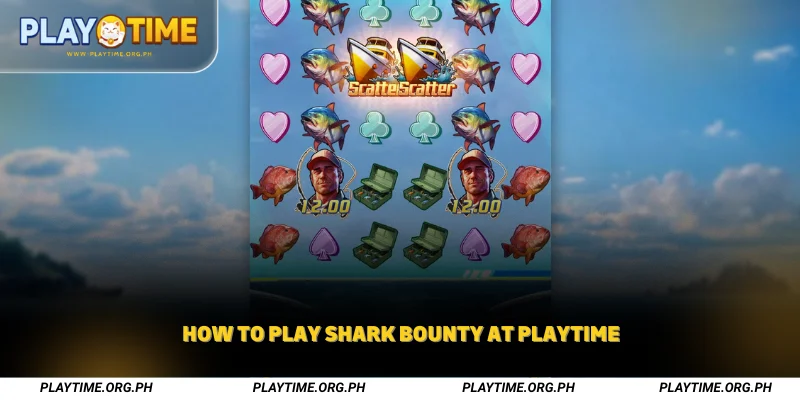 How to Play Shark Bounty at Playtime