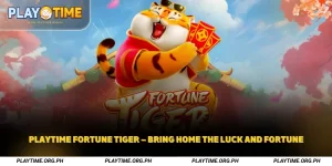 Playtime Fortune Tiger