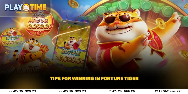 Tips for Winning in Fortune Tiger