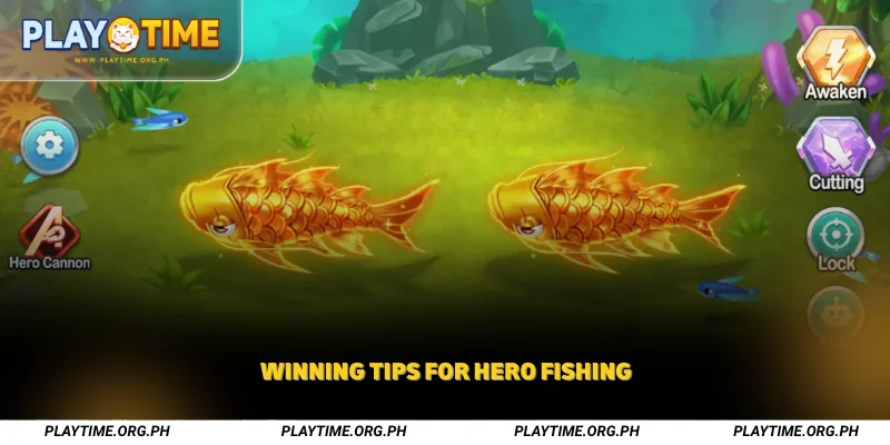 Winning Tips for Hero Fishing